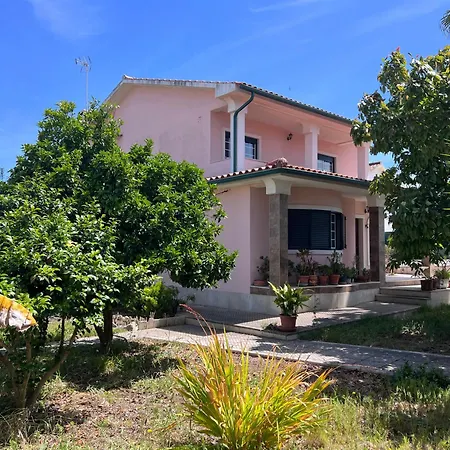 In Charneca (Setubal)